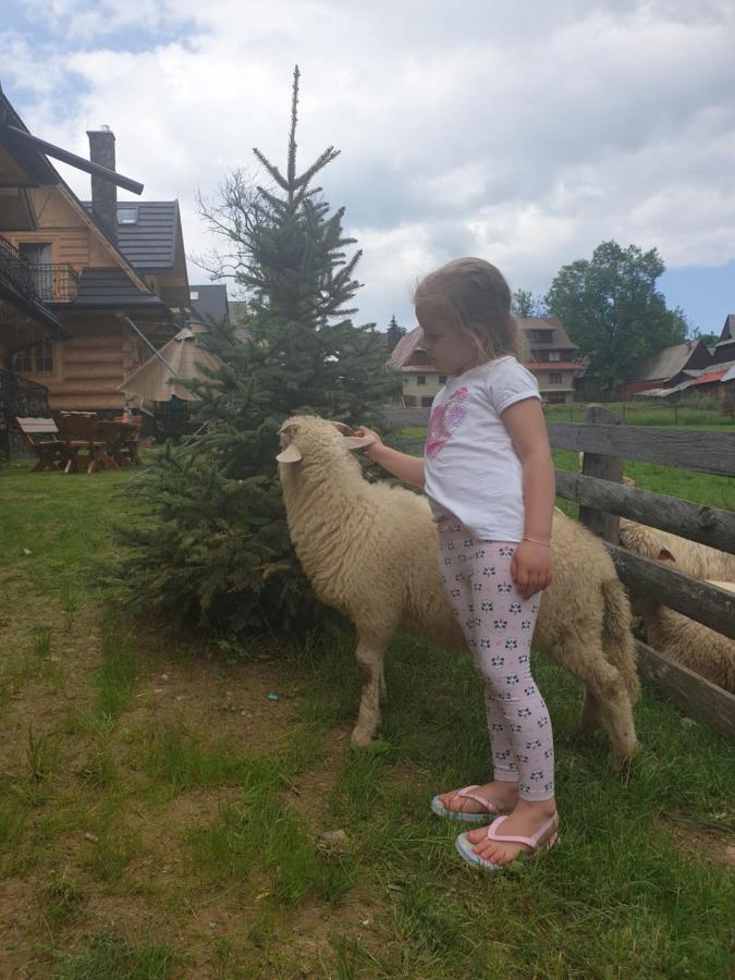 Luksusowe Elizy Luxury Poronin Chalet *