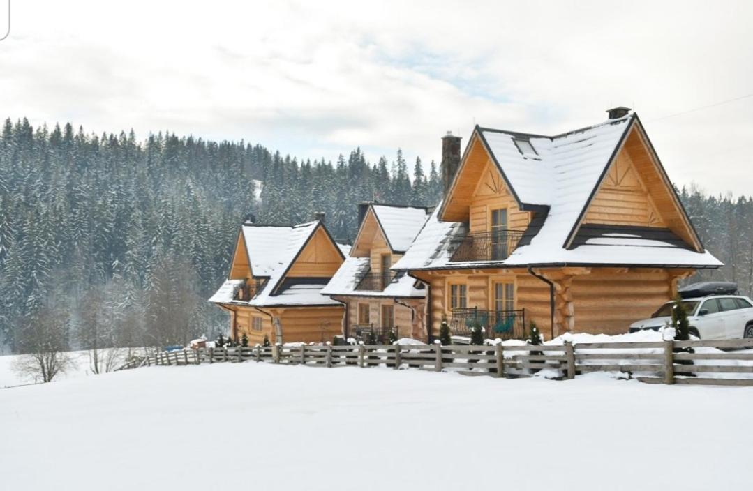Luksusowe Elizy Luxury Poronin Chalet